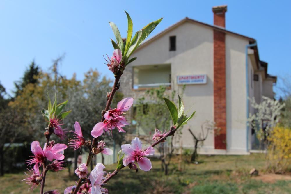 Apartments Sandra Rovinj Exterior photo