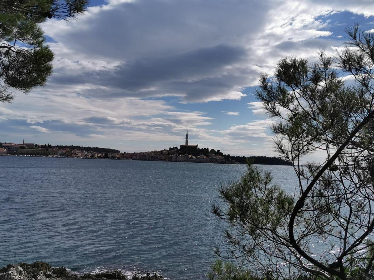 Apartments Sandra Rovinj Exterior photo